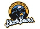 West Virginia Black Bears logo