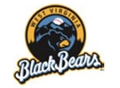 West Virginia Black Bears logo