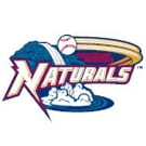 Northwest Arkansas Naturals logo