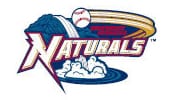 Northwest Arkansas Naturals logo