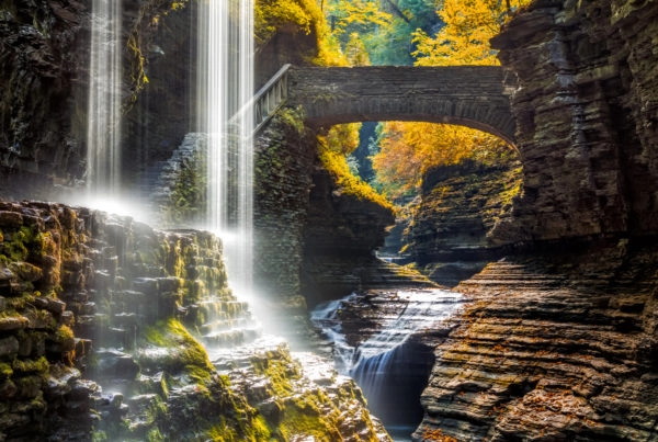 Watkins Glen State Park during the fall